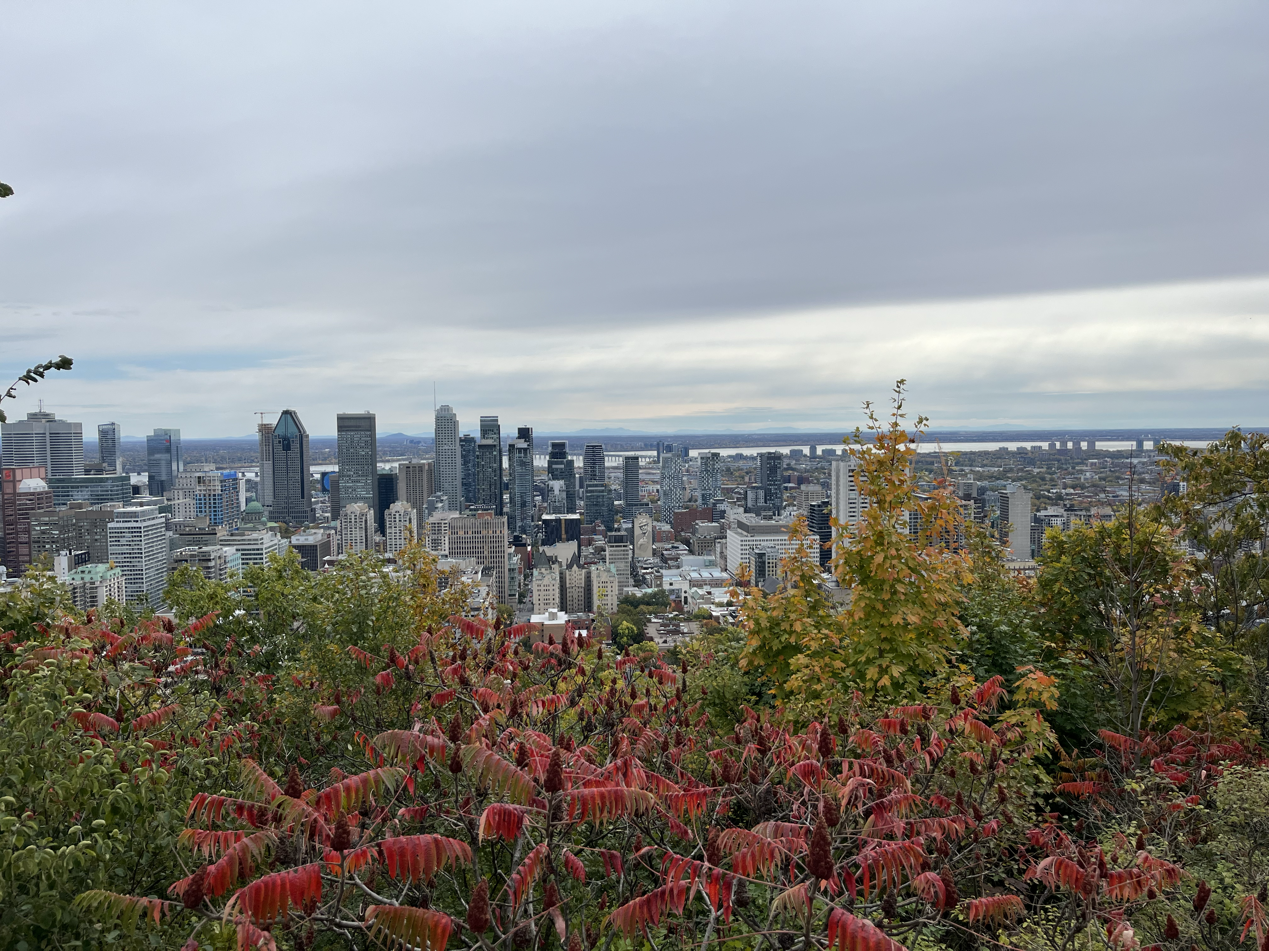 View from mt royal